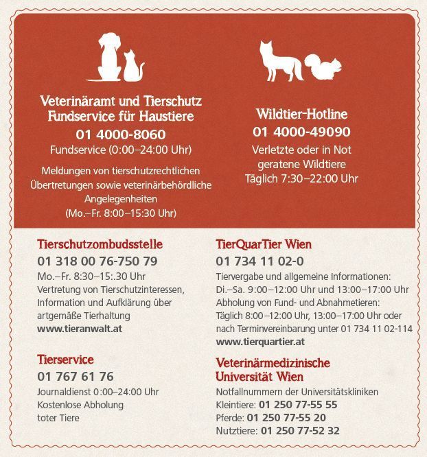 Übersicht mit Kontaktdaten der Tierservices der Stadt Wien