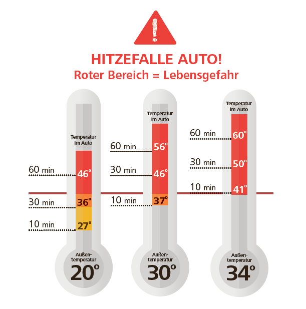 Grafik, die zeigt, ab wieviel Grad Außentemperatur es gefährlich ist, den Hund im Auto zu lassen