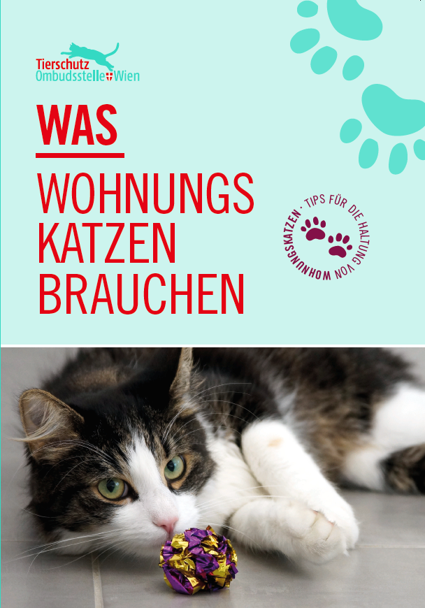 Titelbild Broschüre Was Wohnungskatzen brauchen