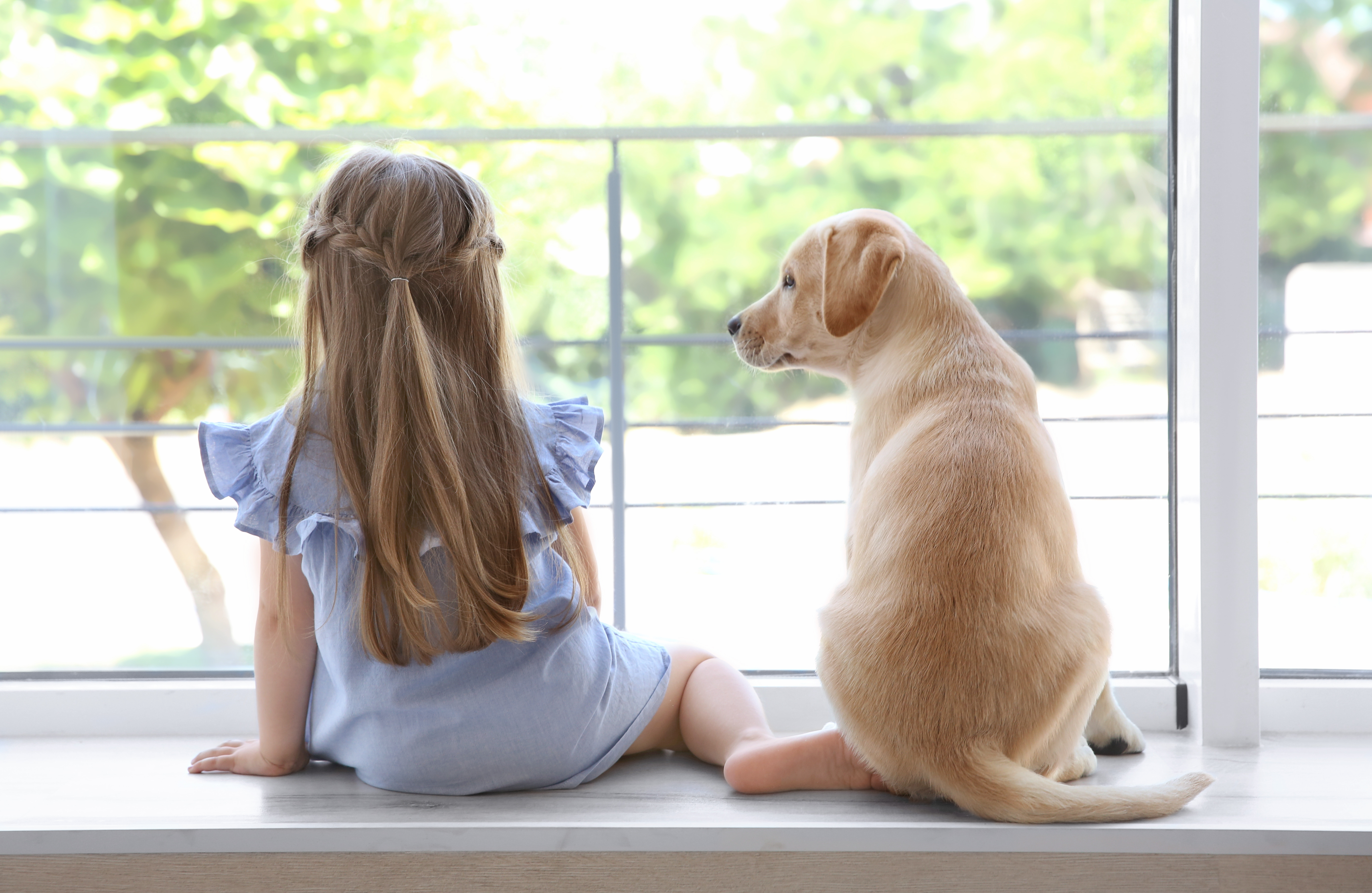 Mädchen mit Hund am Fenster