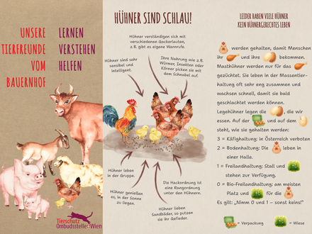 Ausschnitt aus „Unsere Tierfreunde vom Bauernhof – Lernen, verstehen, helfen“ / © Tierschutzombudsstelle Wien
